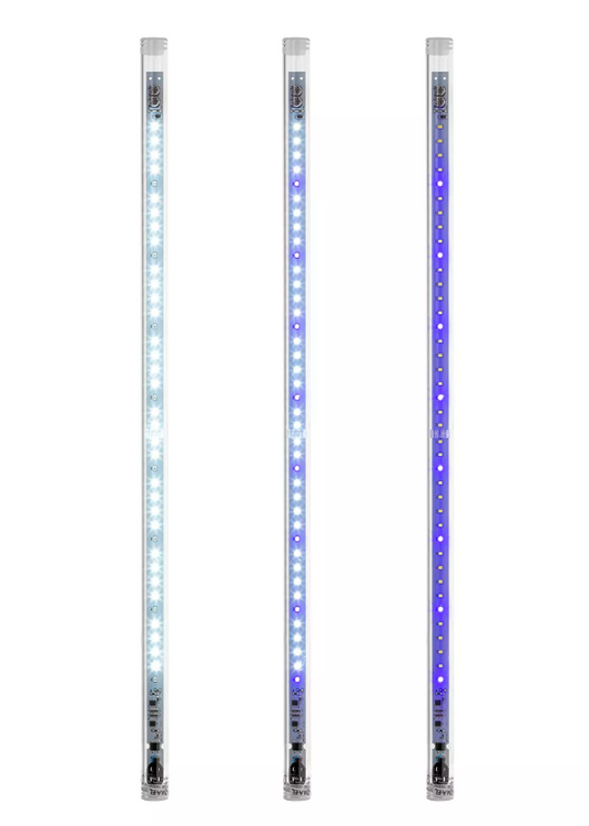 Aquael Leddy Tube 14W RetroFit SUNNY D&N J 62cm