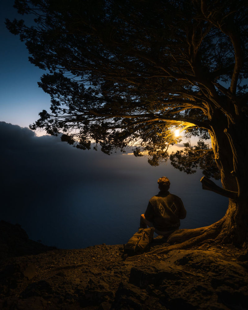 Load image into Gallery viewer, Led Lenser ML6 Warm Light
