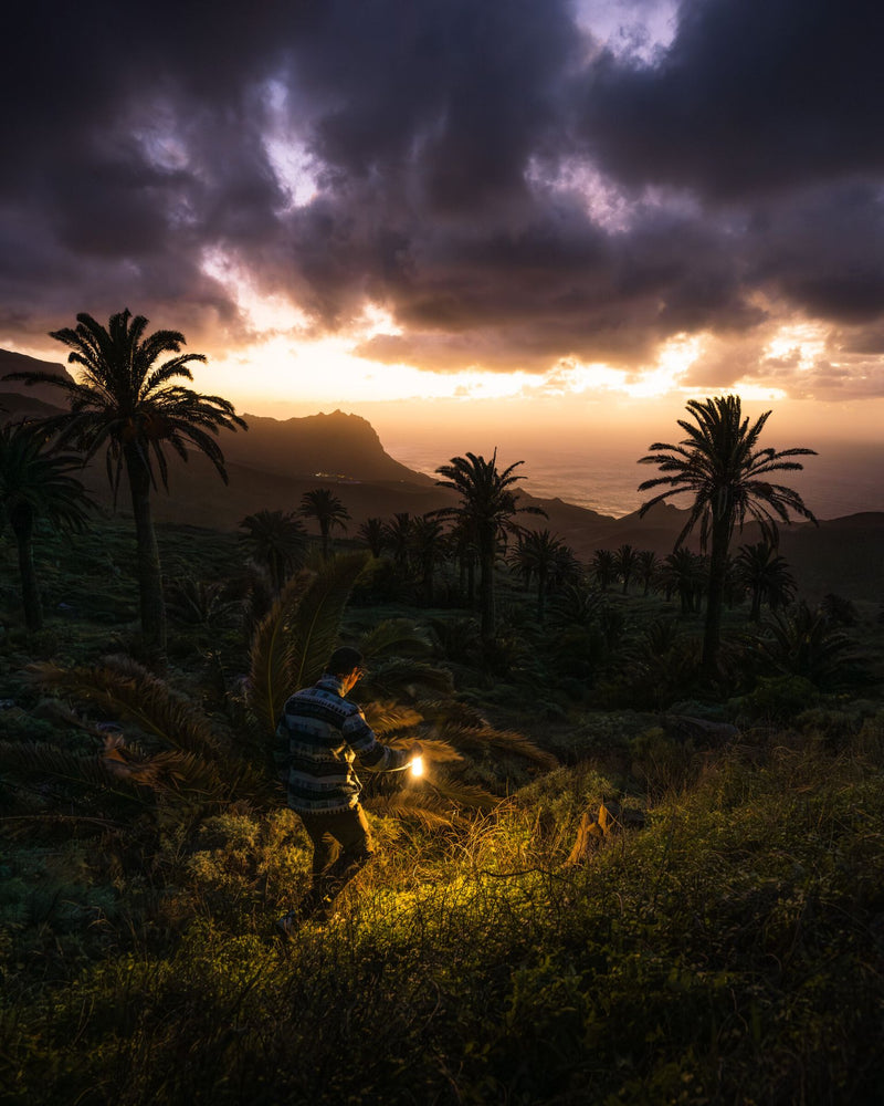 Load image into Gallery viewer, Led Lenser ML6 Warm Light
