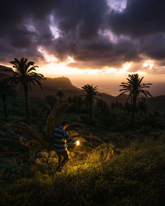 Led Lenser ML6 Warm Light