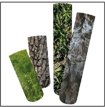 Load image into Gallery viewer, SICCE JOLLY PRESET Termoriscaldatore pretarato
