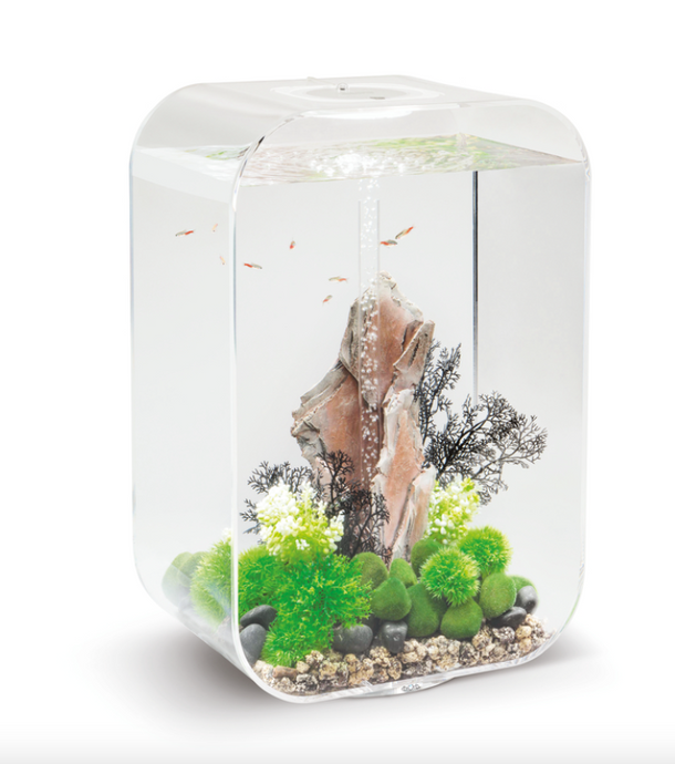 biOrb LIFE 60 MCR trasparente
