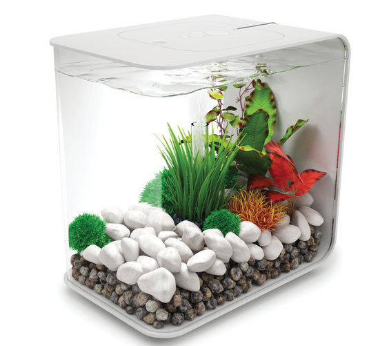 biOrb FLOW 15 MCR bianco