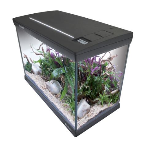 Newa Mirabello 70 Daylight Grigio Antracite
