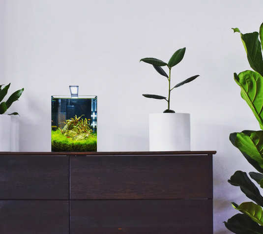 Dennerle Nano Cube 10L