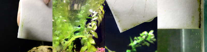 Carica immagine in Galleria Viewer, Aquavitro Pad - Spugna Abrasiva per Acquario
