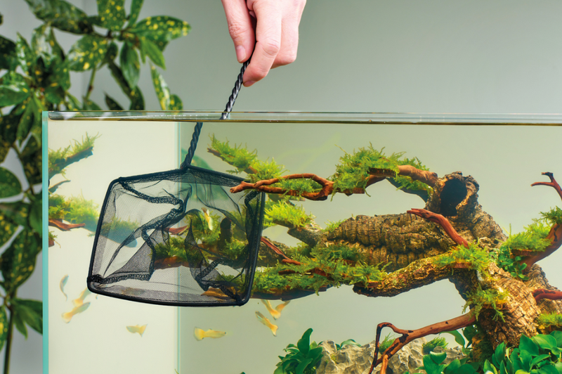 Carica immagine in Galleria Viewer, Oase Retino per Acquari 15cm - Maglia Larga
