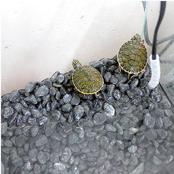 SICCE JOLLY PRESET Termoriscaldatore pretarato