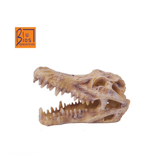 Teschio Alligatore S BluBios