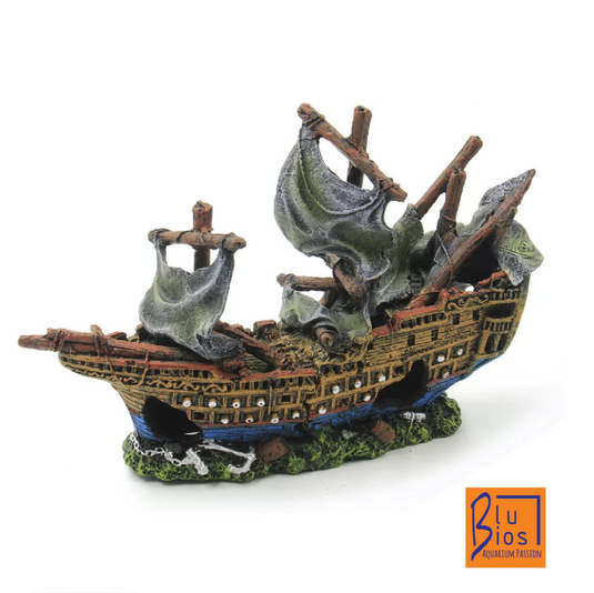 Galeone piccolo BluBios