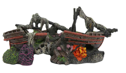 Aqua Della Decorazione Relitto su coralli