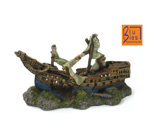 Relitto piccolo BluBios