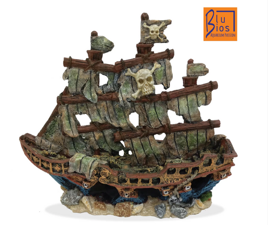 Relitto Pirata BluBios