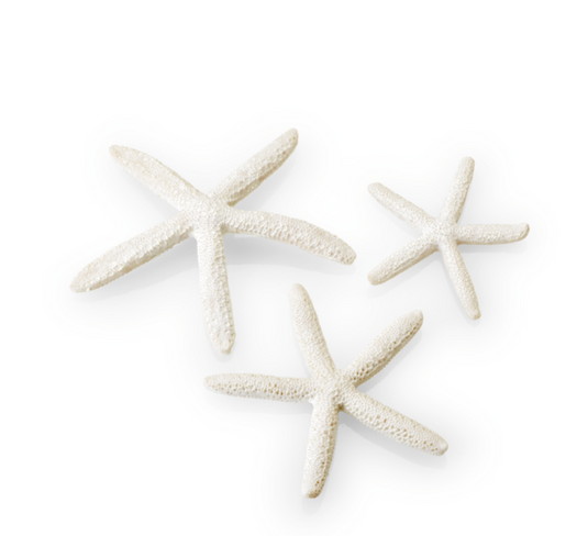 biOrb Stella Marina Bianca Decorazione