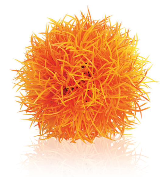 biOrb Pianta Sferica Arancio