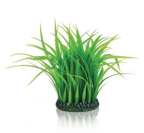 biOrb Ciuffo Erba M Verde