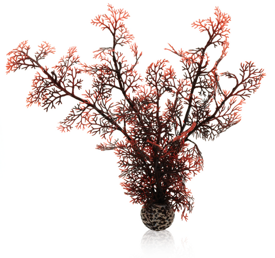 biOrb Corallo M Cremisi