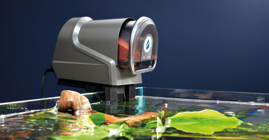 OASE FishGuard - Mangiatoia Automatica per Acquari