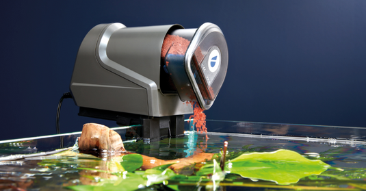 OASE FishGuard - Mangiatoia Automatica per Acquari