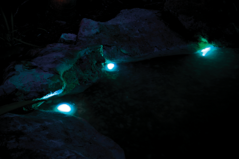 Carica immagine in Galleria Viewer, Pontec PondoStar LED RGBW Set 3 - Faretti per Laghetto e Giardino

