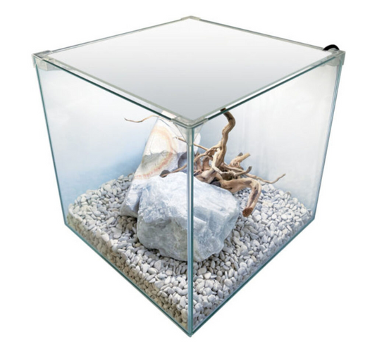 Newa Ego Full EF20 Bianco - Acquario Completo con LED e Filtro