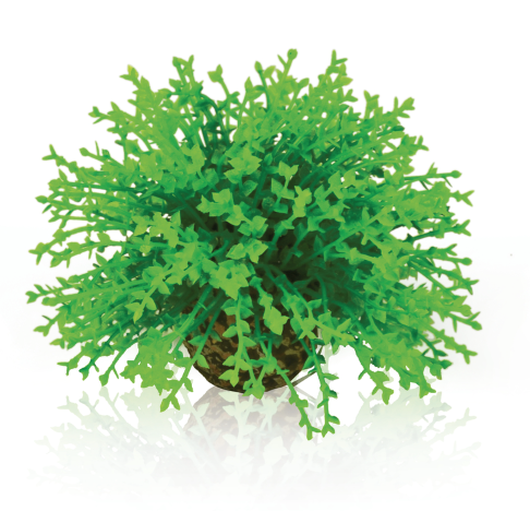 biOrb Pianta Sferica Verde - Decorazione per Acquari