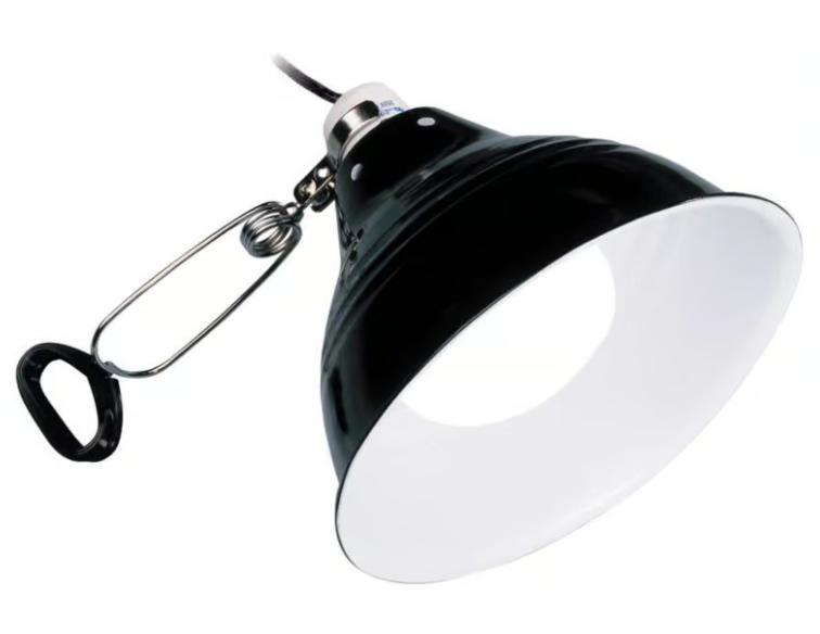 Chargez l'image dans la visionneuse de la galerie, EXO TERRA - Glow Light Small - Portalampada a Morsetto con Riflettore Luminescente
