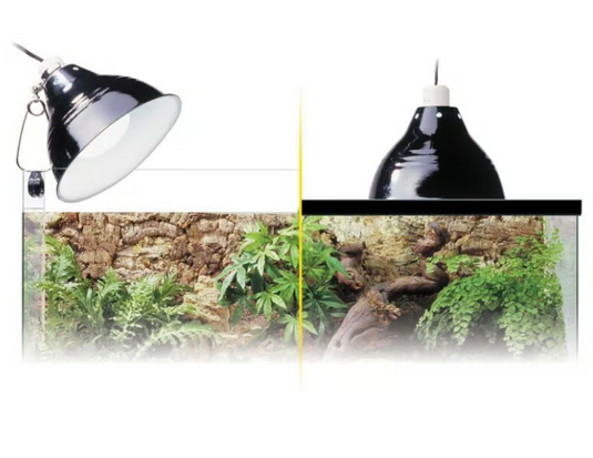 EXO TERRA - Glow Light Small - Portalampada a Morsetto con Riflettore Luminescente