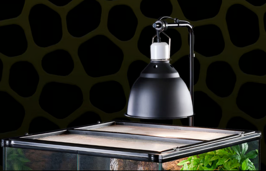EXO TERRA - Glow Light Large - Portalampada a Morsetto con Riflettore Luminescente