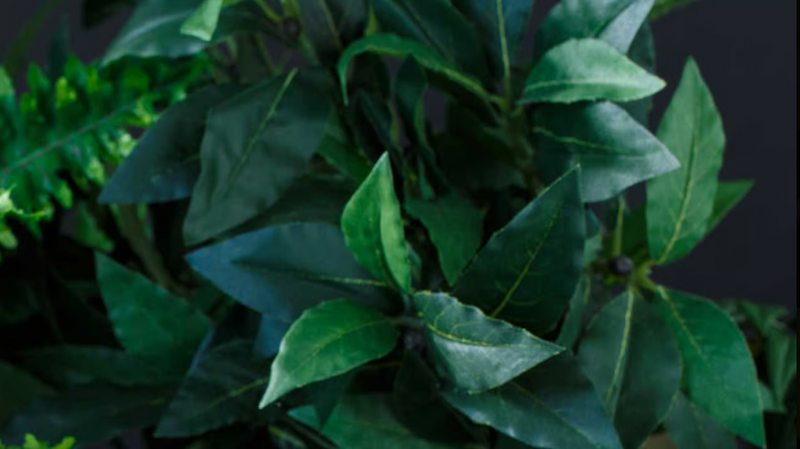 Carica immagine in Galleria Viewer, EXO TERRA - Ficus Medium - Pianta Artificiale Appesa per Terrario
