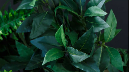 EXO TERRA - Ficus Medium - Pianta Artificiale Appesa per Terrario