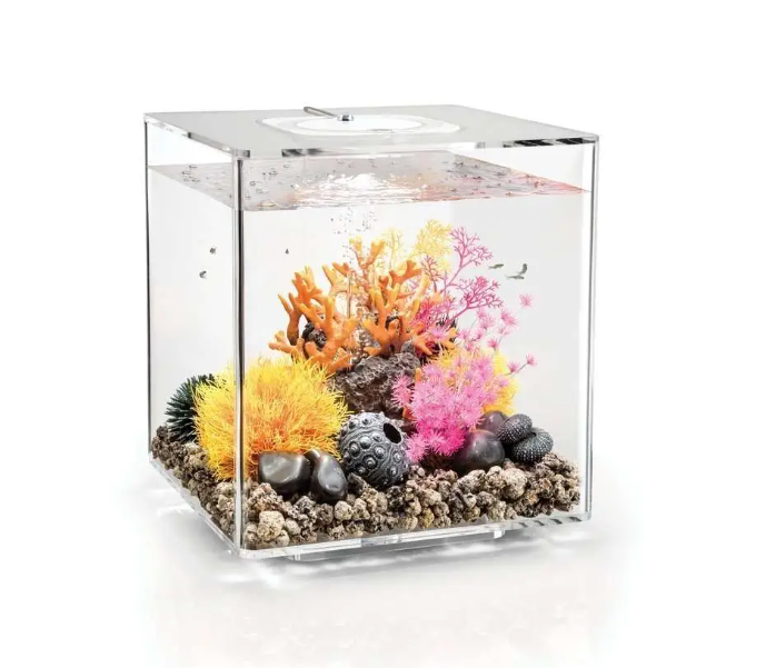 Carica immagine in Galleria Viewer, biOrb Cube 30 MCR Clear
