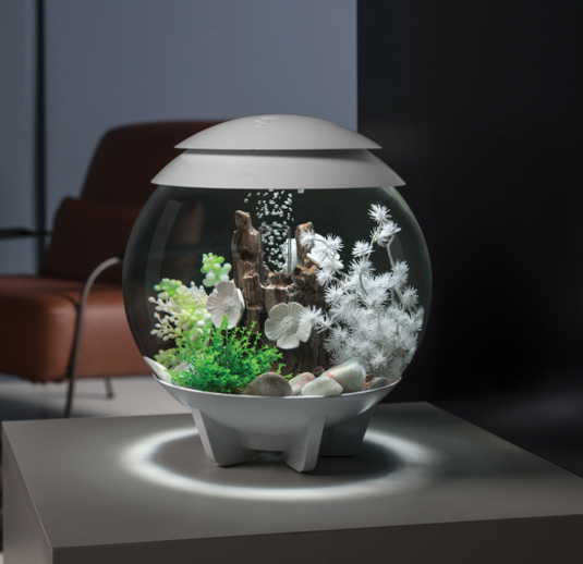 biOrb HALO 30 MCR Bianco