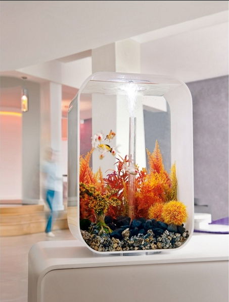 biOrb LIFE 60 MCR trasparente
