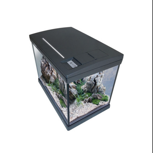 NEWA Mirabello young 30 MF Grigio
