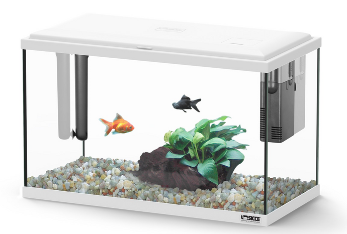 Sicce Moby Dick 40 Bianco - Acquario Completo