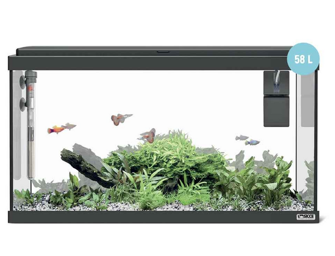 Sicce Moby Dick 60 Nero - Acquario Completo