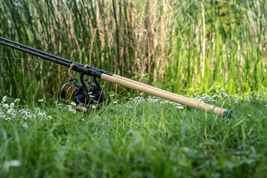 Nash Scope Cork / Canna Carpfishing con Impugnatura in Sughero