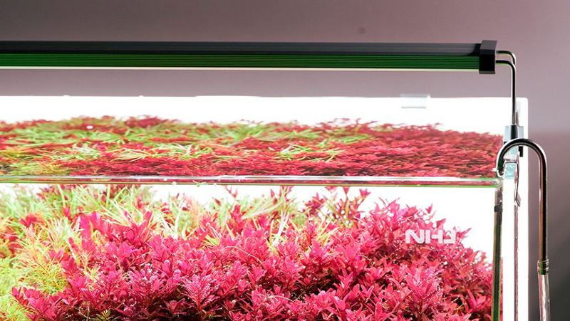Chargez l'image dans la visionneuse de la galerie, Chihiros - B30 LED / Plafoniera LED Bluetooth per Acquario
