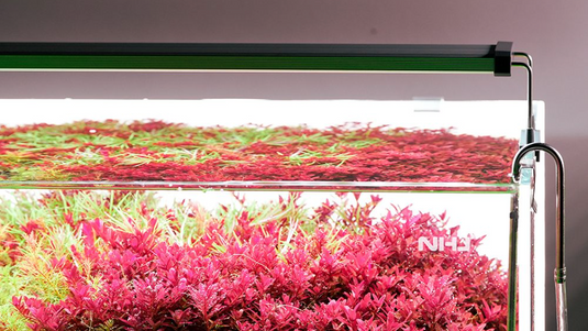 Chihiros - B60 LED / Plafoniera LED Bluetooth per Acquario