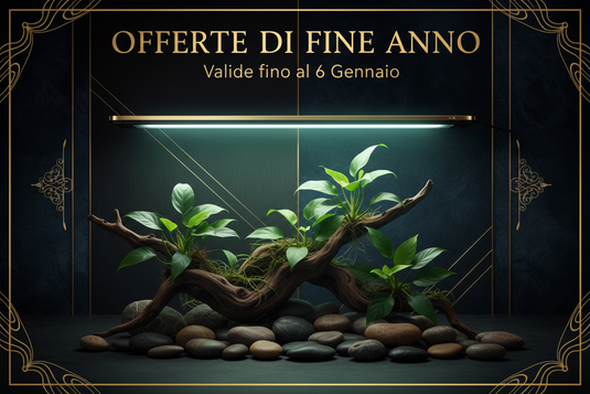 Banner Offerte di Fine Anno Acquari