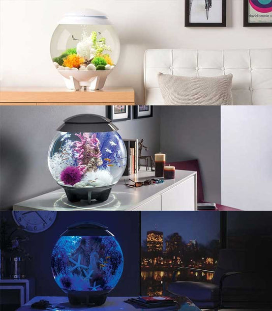 biOrb HALO 30 MCR Bianco