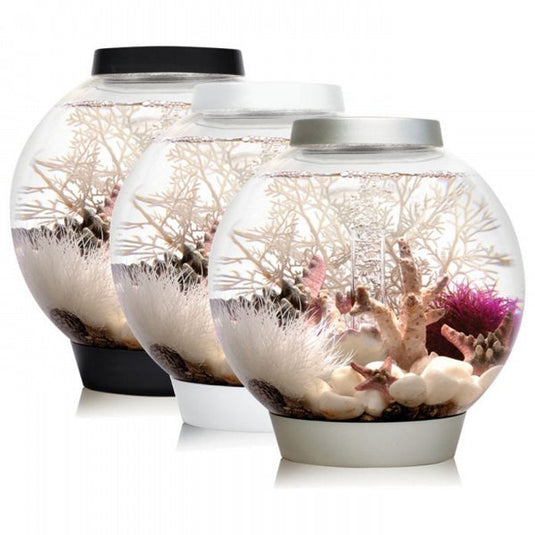 biOrb Acquario CLASSIC 15 MCR Bianco