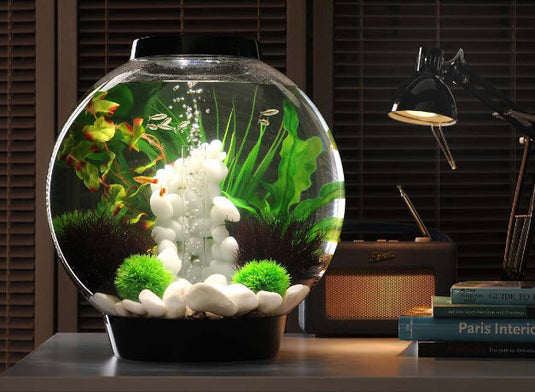 biOrb Acquario CLASSIC 15 MCR Bianco