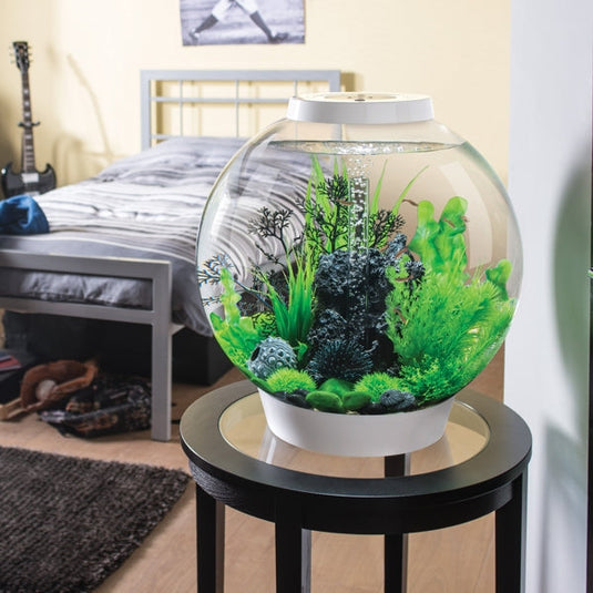 biOrb Acquario CLASSIC 15 MCR Bianco