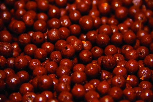 Dynamite Baits The Source Boilies