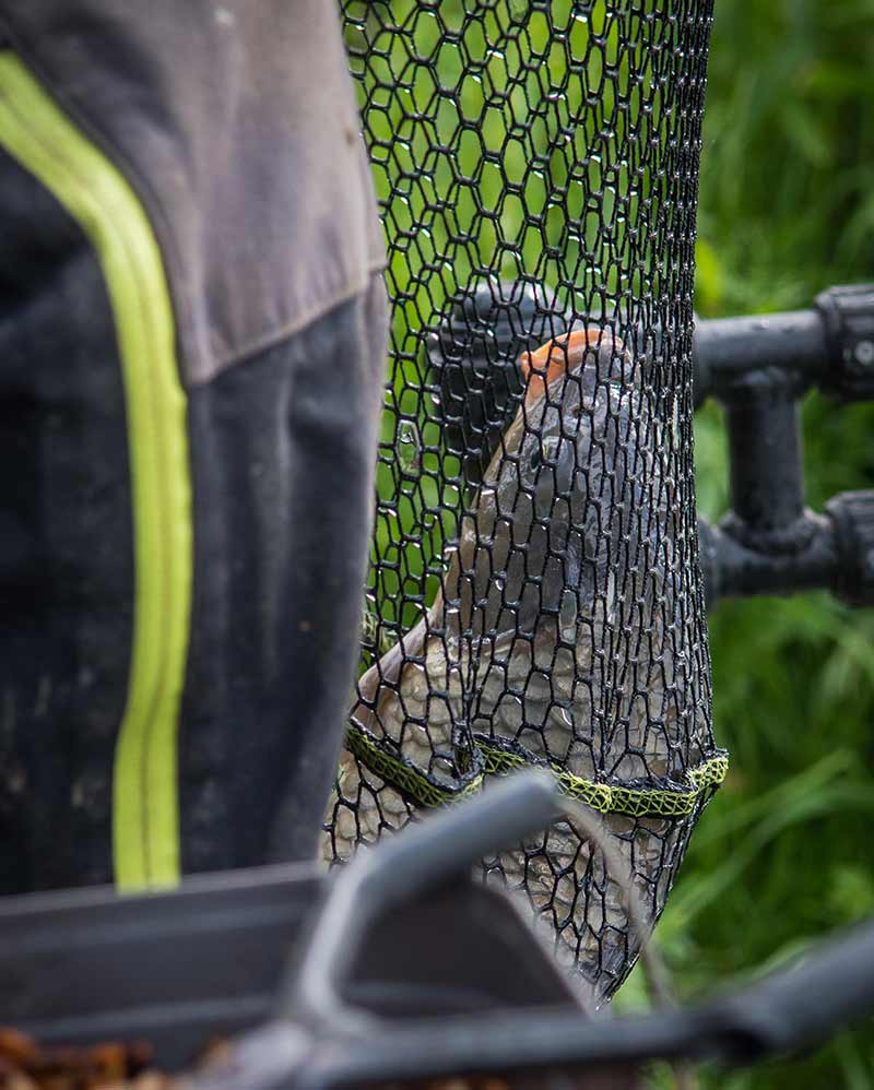 Laden Sie das Bild in Galerie -Viewer, Matrix Carp Scoop Landing Net - Testa per Guadino Carpfishing
