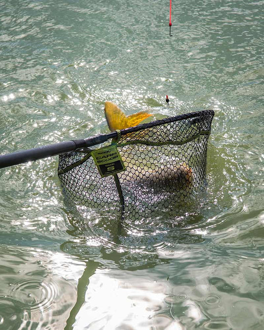 Matrix Carp Scoop Landing Net - Testa per Guadino Carpfishing
