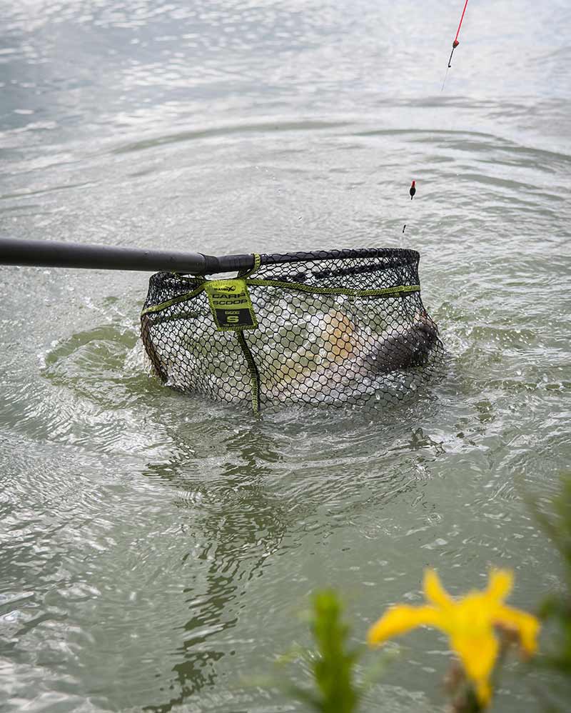 Laden Sie das Bild in Galerie -Viewer, Matrix Carp Scoop Landing Net - Testa per Guadino Carpfishing
