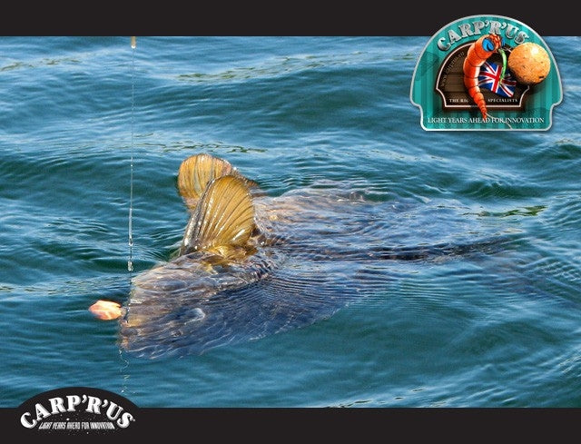 Carica immagine in Galleria Viewer, Carp&#39;r&#39;us Clearwater Fluorocarbon
